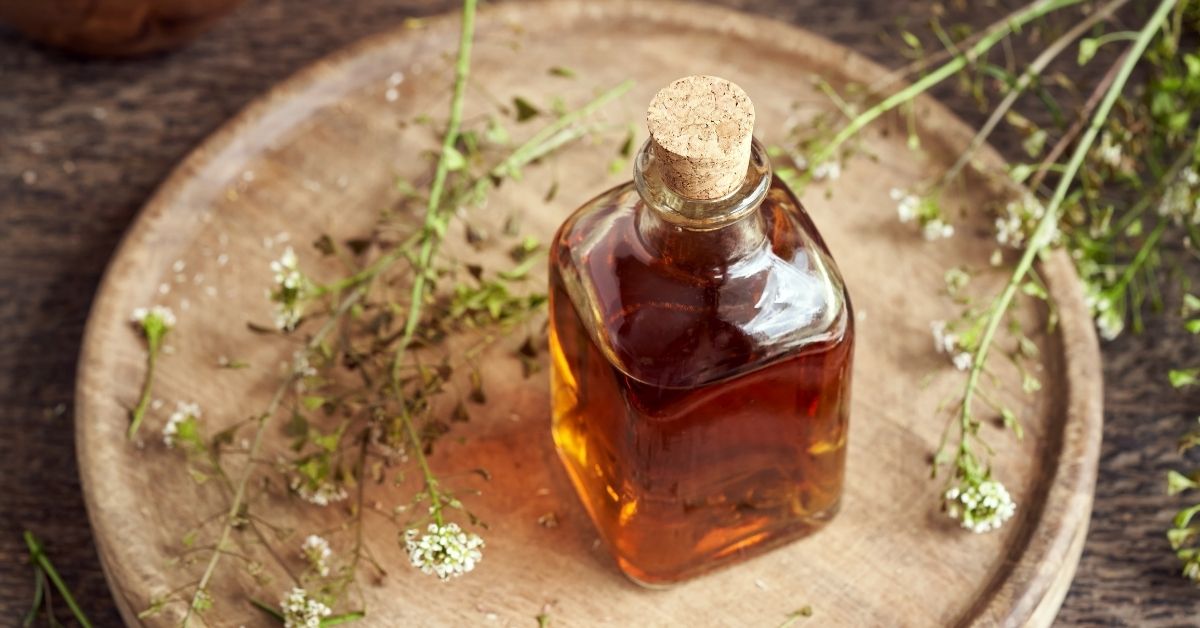 Jak si vyrobit domácí tinkturu