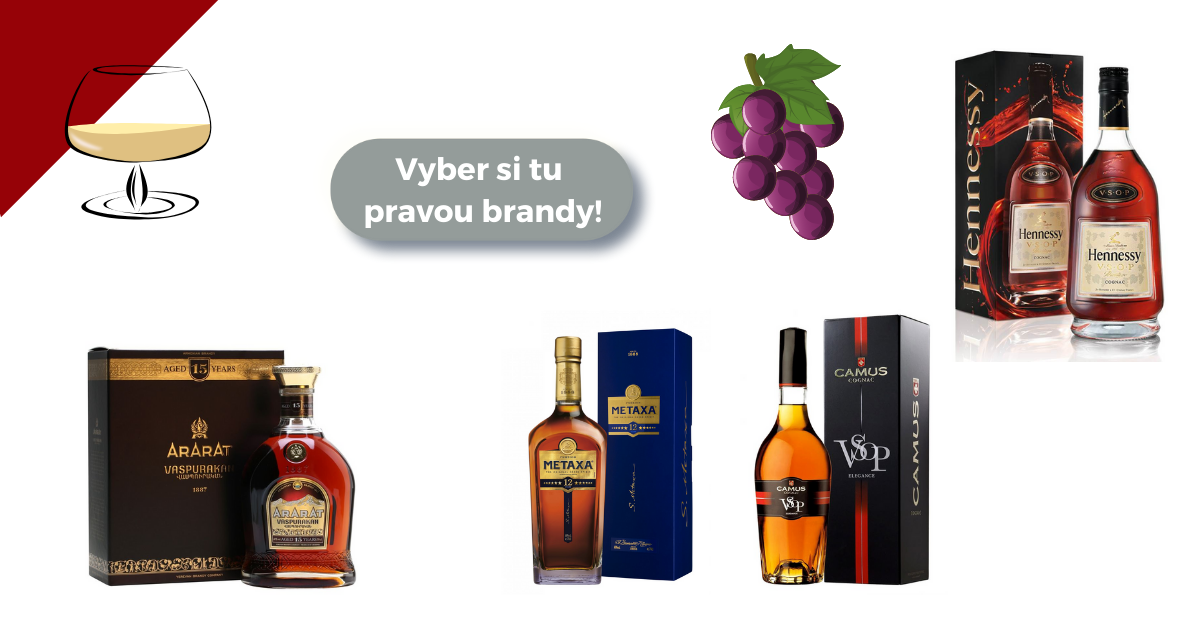 Jak správně pít brandy a konak