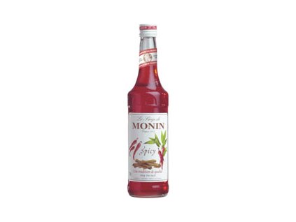 89343 monin spicy koreneny 0 7l