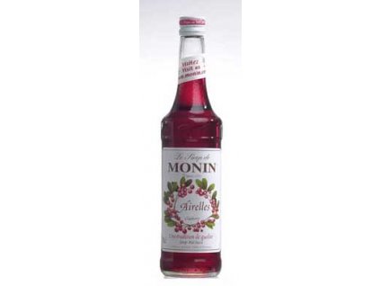 89439 monin airelles brusinka 0 7l