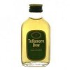 87693 tullamore dew 0 05l 40