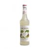 89718 monin coco 1l