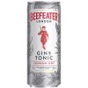 Beefeater Gin & Tonic