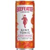 Beefeater Blood Orange Gin & Tonic