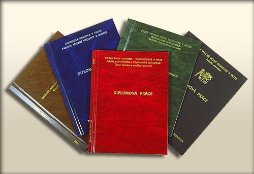 Vplyv alkoholu na vodiča a priebeh metabolizácie v jeho tele