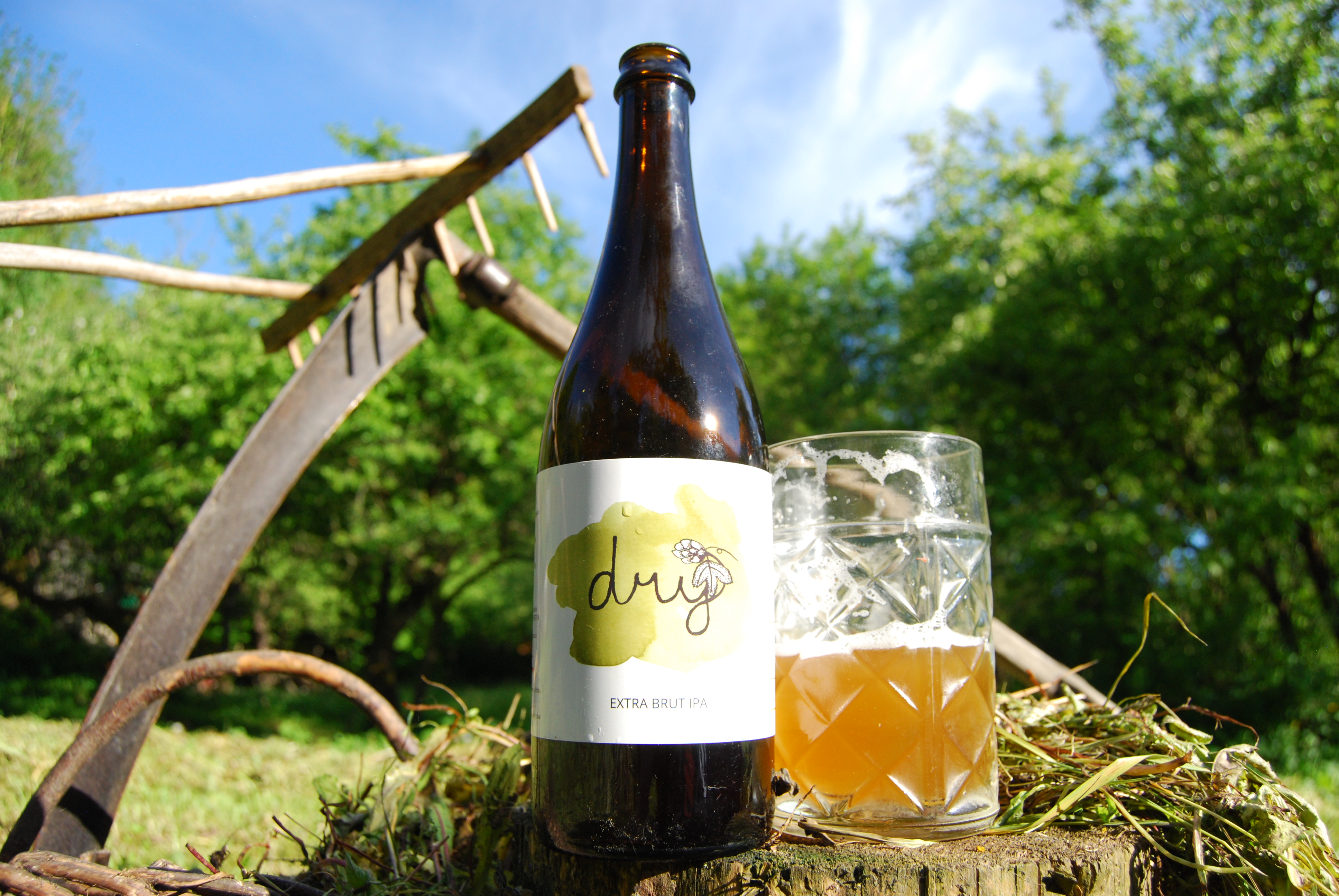 Recenze: "Pivní SEKT" a sečení trávy? Proč ne - EXTRA DRY IPA pivo Pivečka