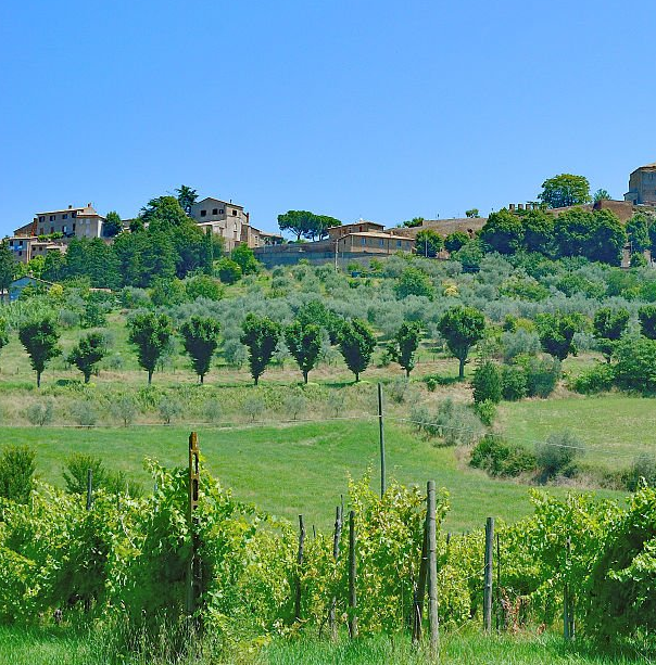 Châteauneuf-du-Pape2