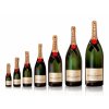 moet all bottles sizes