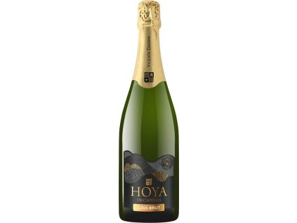5948 vicente gandia hoya de cadenas cava brut 750ml