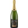 5948 vicente gandia hoya de cadenas cava brut 750ml