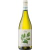 6302 ilauri pinot grigio tavo delle venezie doc 750ml