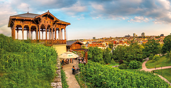 Pražské vinice aneb i Pražáci mají své víno