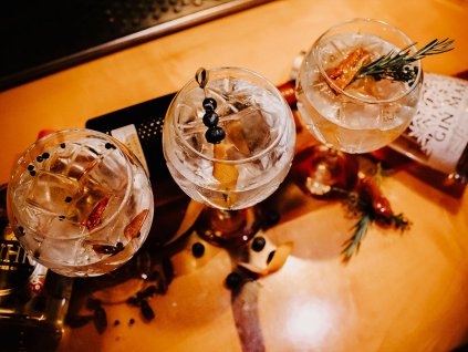 degustace gin toniku v KH thumbnail