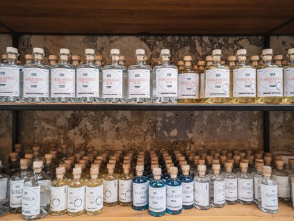 Gin tasting by garage22 distillery thumbnail