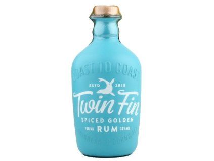 twin fin