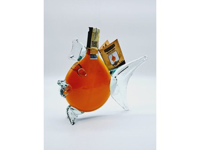 20240127 123312 863x1150