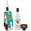malibu with real coconut cup 31667