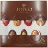 Joyco - mix sušeného ovoce v čokoládě s ořechy 390g  Krásné velké balení 27,5 x 27,5 cm