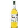 SiropPINA COLADA Giffard 1L HDC