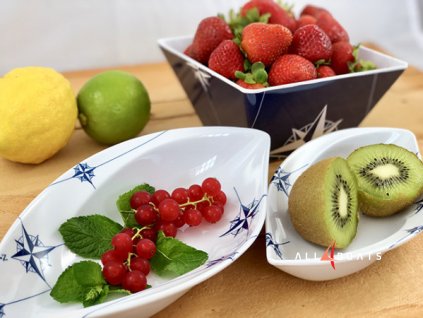 1196 sada ovalnych misek na snack northwind
