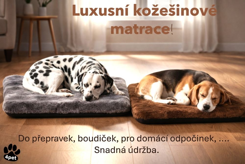 Matrace do klecí, do boudiček do přepravek