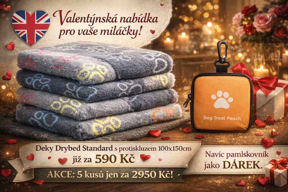 Akce DRYBED již od 590 Kč