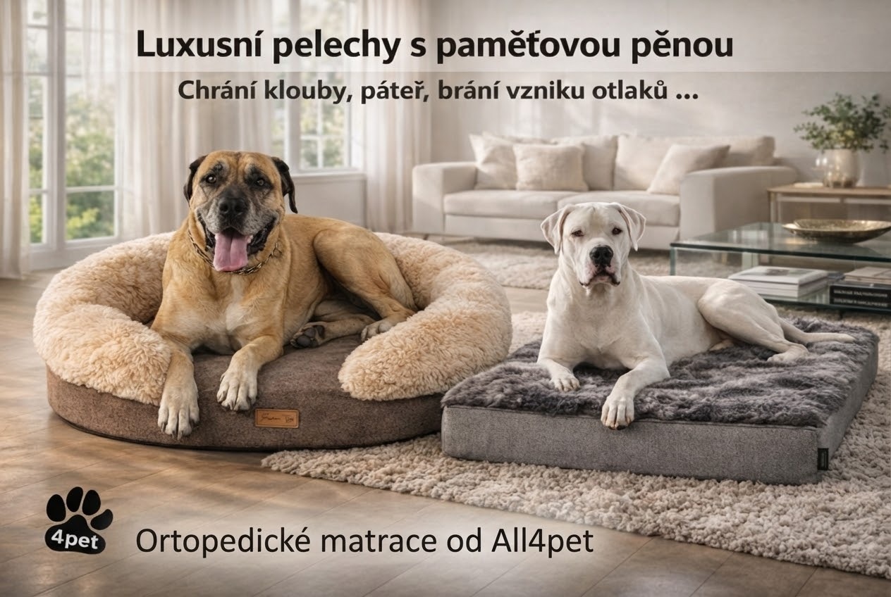 Ortopedické matrace s paměťovou pěnou