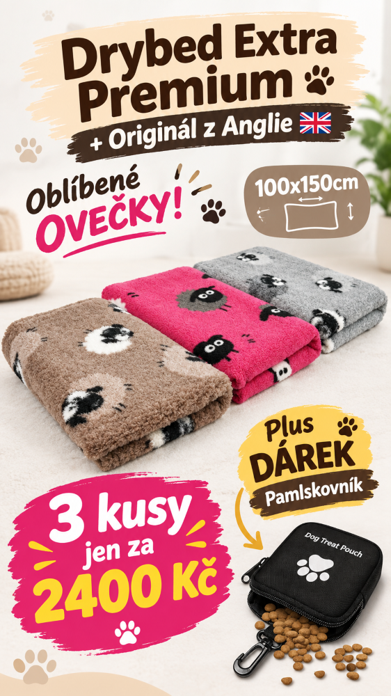 Drybed akce