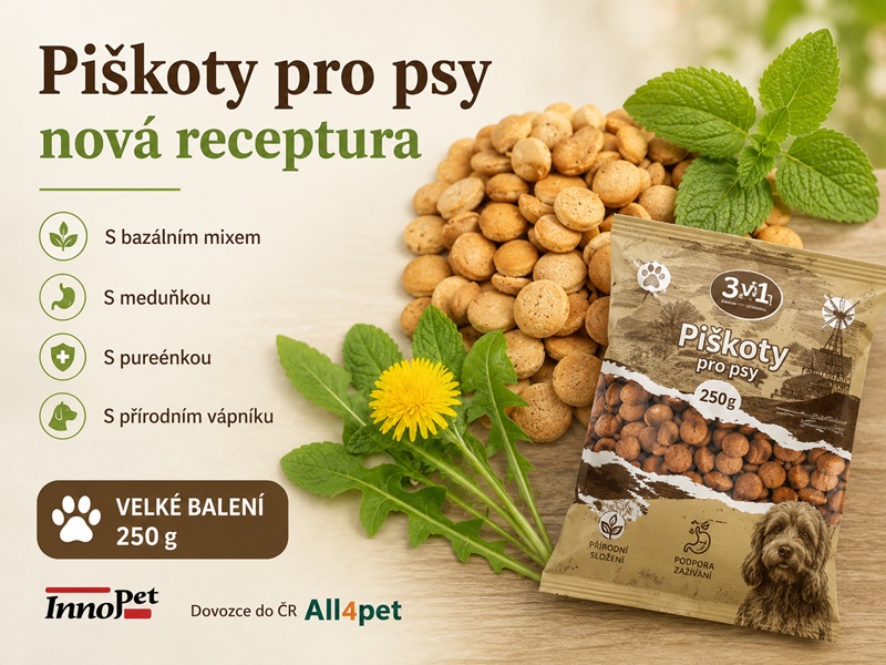 Piškoty pro psy