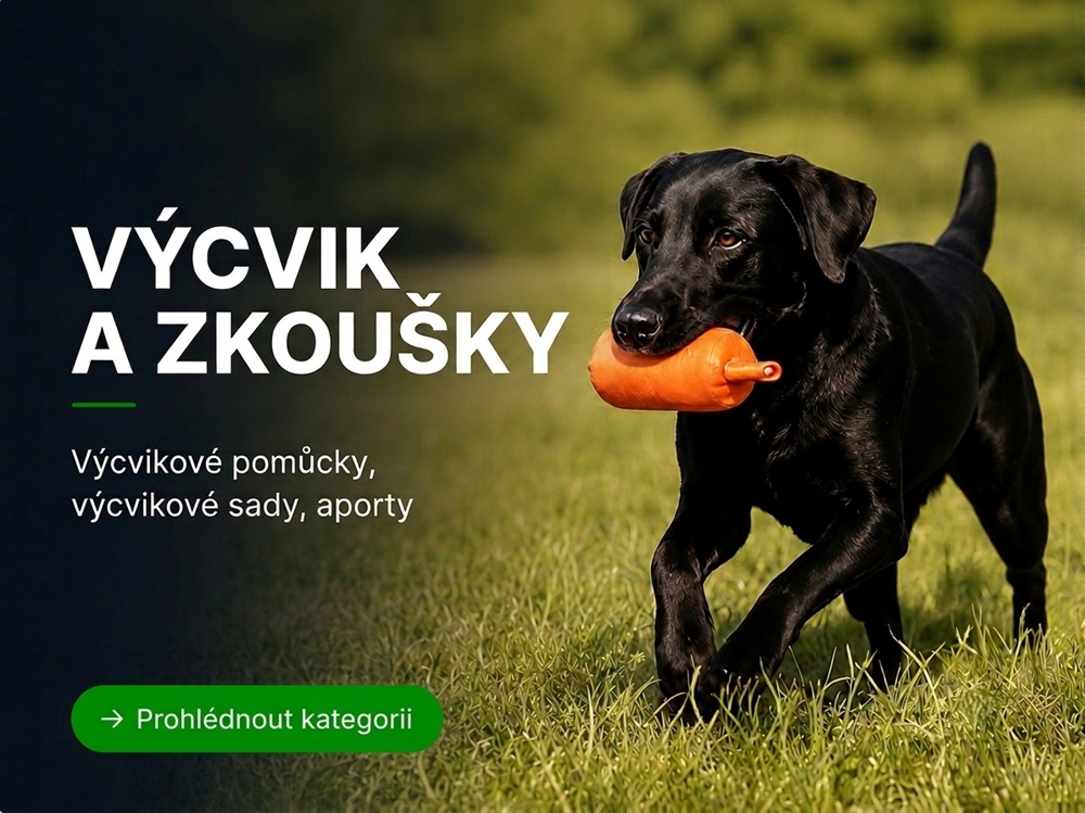 Výcvik, aporty