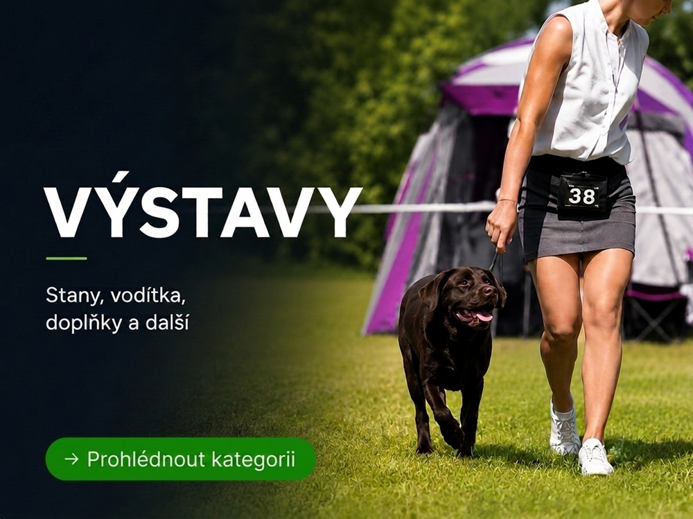 Výstavy psů