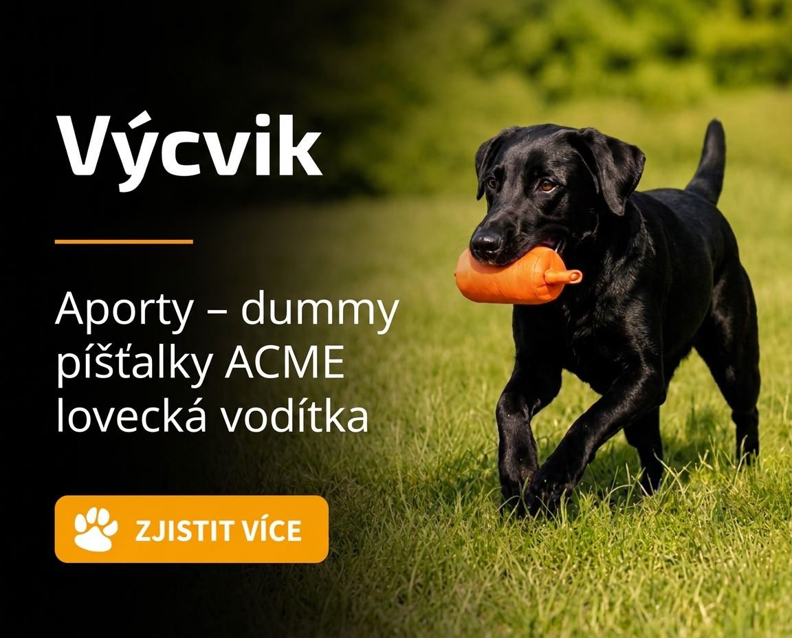 Výcvik, aporty