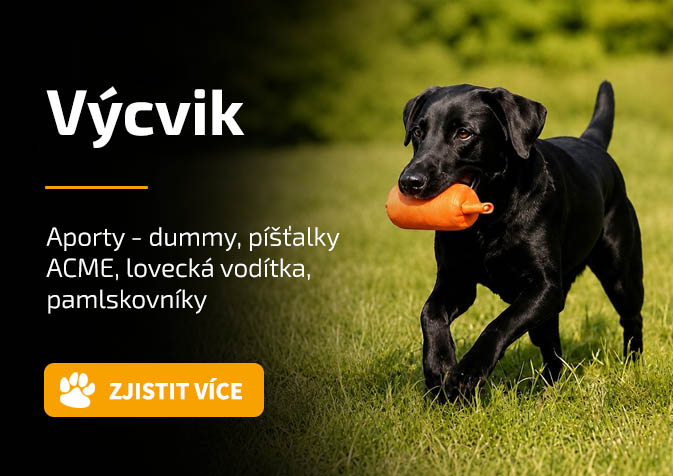 Výcvik, aporty
