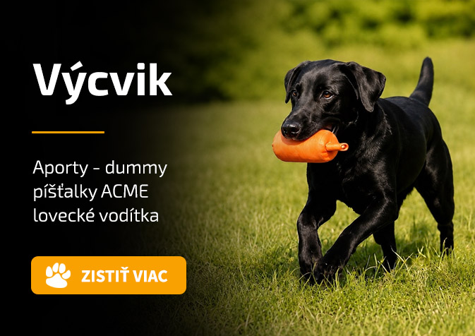 Výcvik, aporty