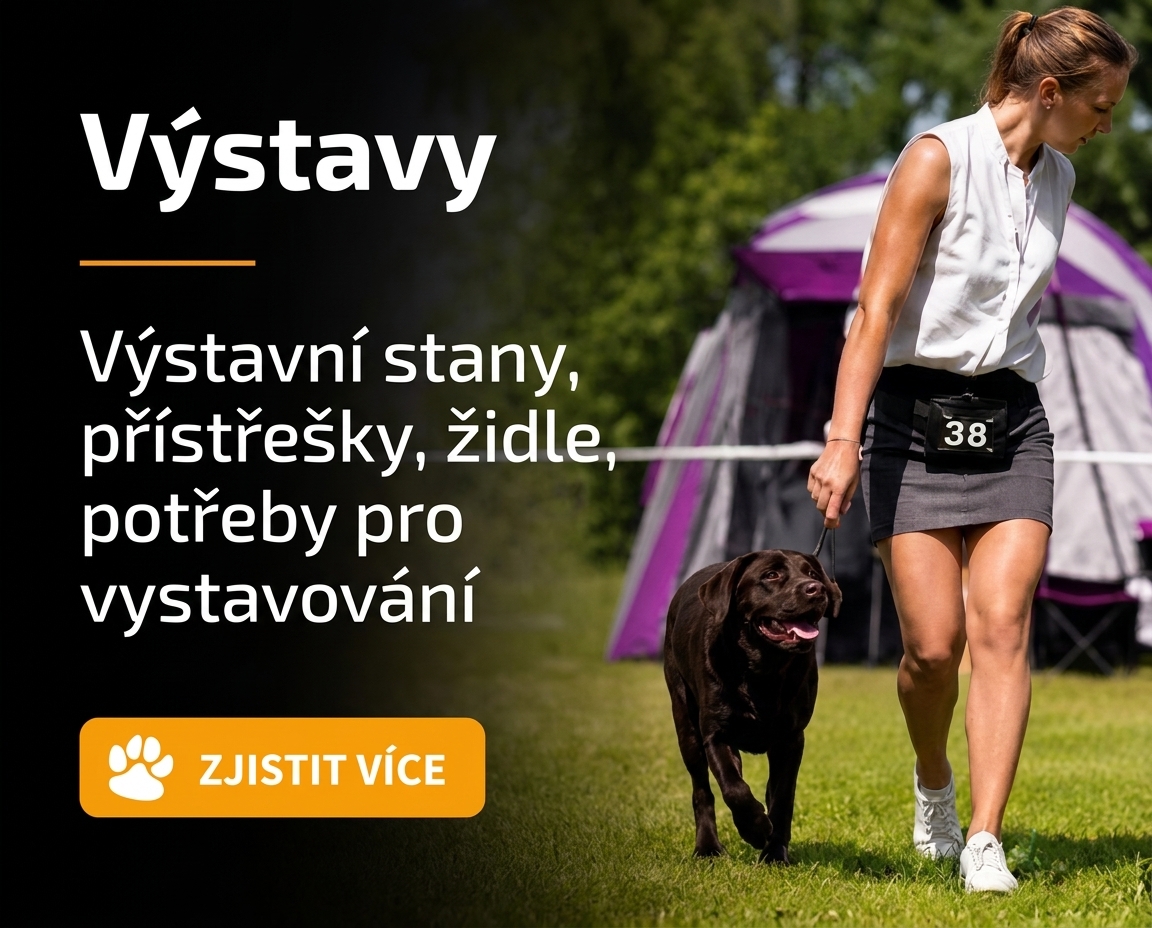 Výstavy psů