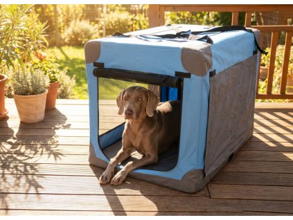 image 2026 02 02T111449.020