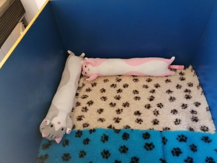 Výplňový polštář do porodních beden a přepravek  - kočka 90 cm
