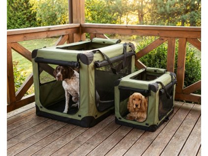 image 2026 02 04T115702.168