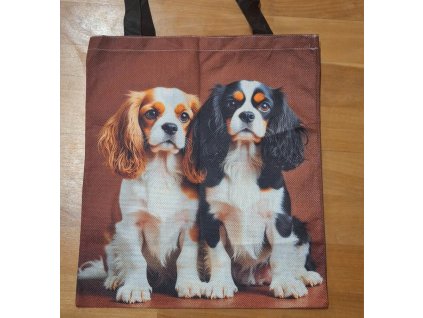 Textilná nákupná taška - Kavalíri