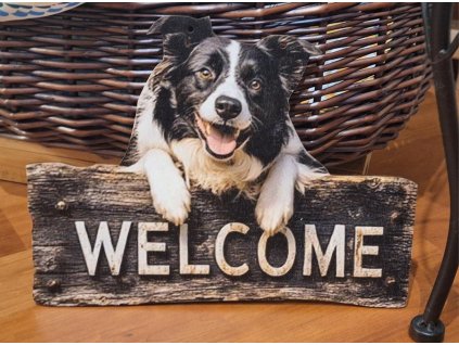 Bytová dekorace - Border kolie