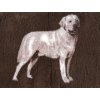 DRYBED Extra Premium - Labrador