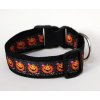 Obojek Veselá dýně Halloween - s reflexní tlapkou