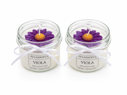 svicka viola