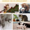 33631 5 kocici strom s jeskyni 122 cm kremovy prirodni