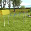 Agility slalom pro psy