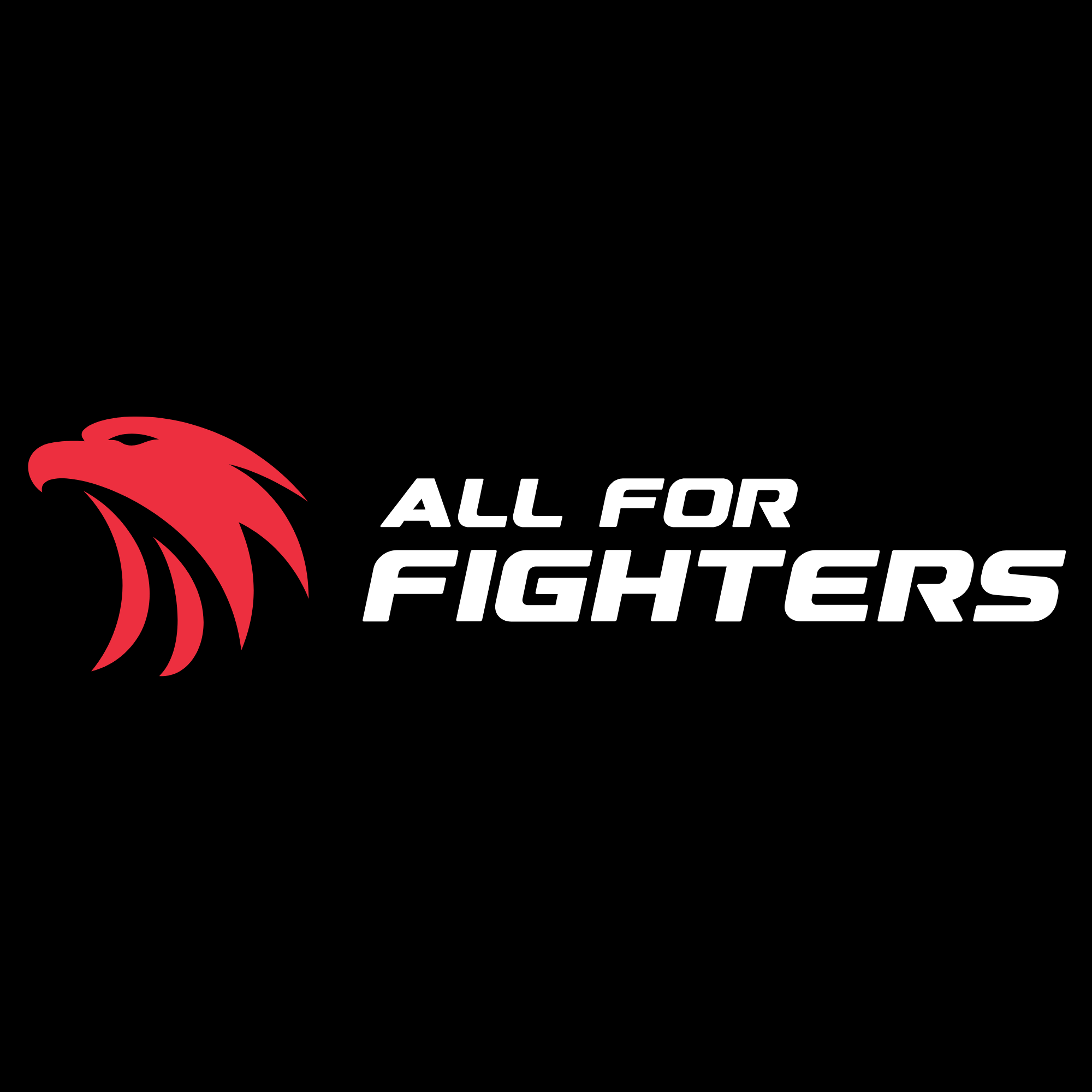 All for Fighters: What we offer and how to choose?