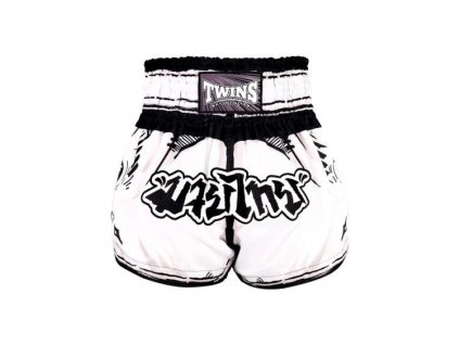 Twins Special Muay Thai Shorts Comics1