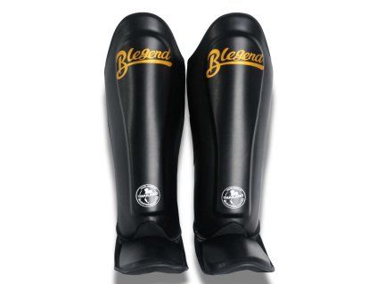 Shinguards Blegend BSGR SL8 4