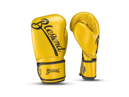 Blegend Boxerské rukavice, Blegend Boxing gloves