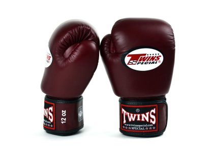 Boxerské rukavice TWINS, Boxing gloves TWINS